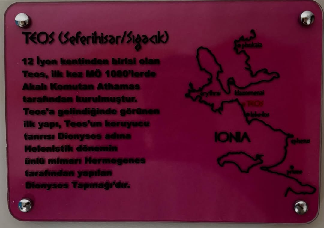 Teos odası